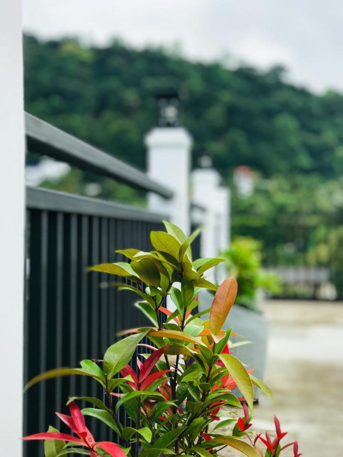 康提 Tranquil Quarter酒店 外观 照片